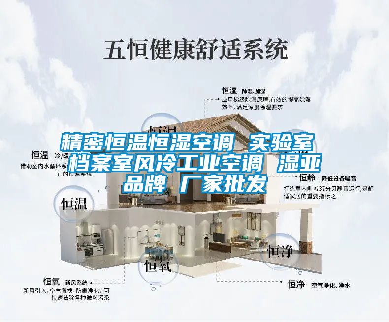 精密恒溫恒濕空調(diào) 實驗室 檔案室風冷工業(yè)空調(diào) 濕亞品牌 廠家批發(fā)