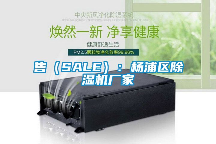 售（SALE）：楊浦區除濕機廠家