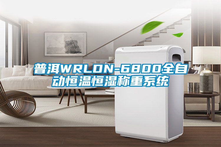 普洱WRLDN-6800全自動恒溫恒濕稱重系統