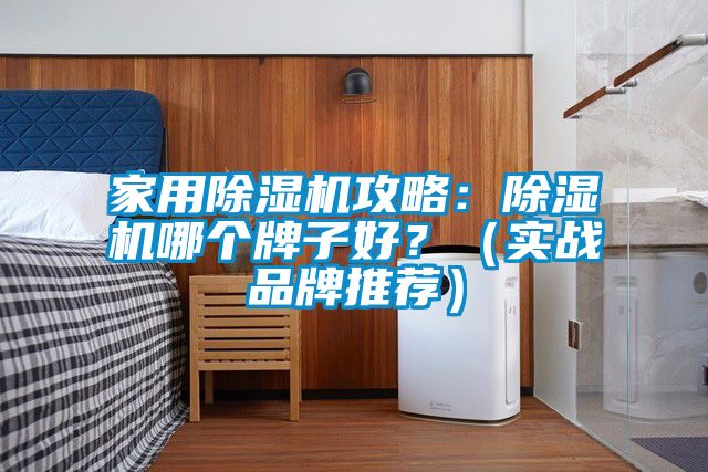 家用除濕機攻略：除濕機哪個牌子好？（實戰品牌推薦）