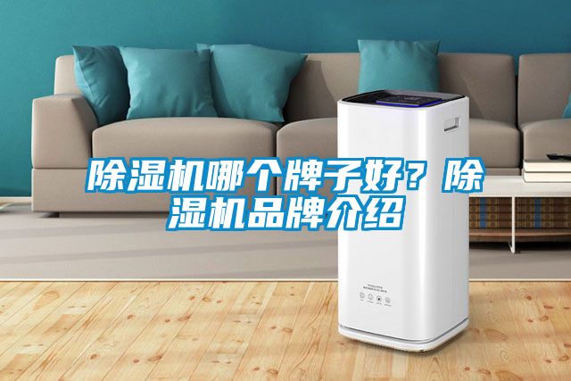 除濕機哪個牌子好？除濕機品牌介紹