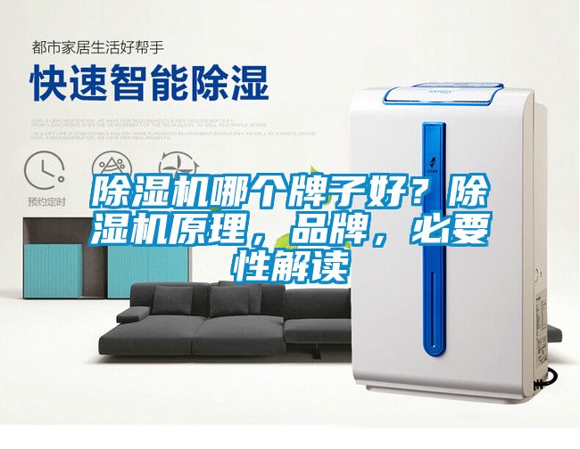 除濕機哪個牌子好？除濕機原理，品牌，必要性解讀