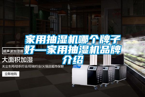 家用抽濕機哪個牌子好—家用抽濕機品牌介紹