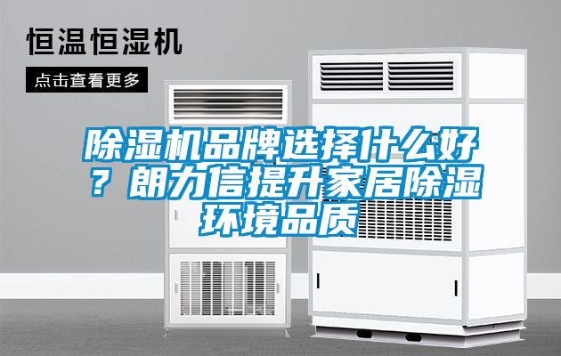 除濕機品牌選擇什么好？朗力信提升家居除濕環境品質