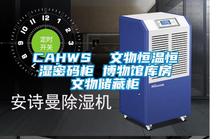 CAHWS  文物恒溫恒濕密碼柜 博物館庫房文物儲藏柜